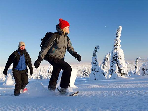 Finland winter activity vacation & Northern Lights