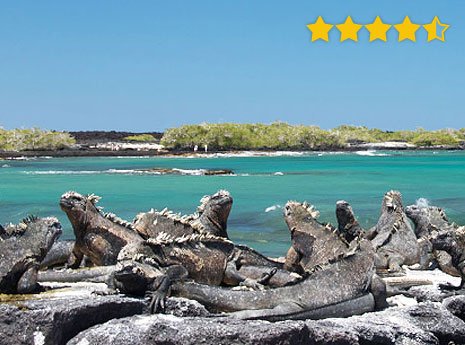 Galapagos small group land based adventure