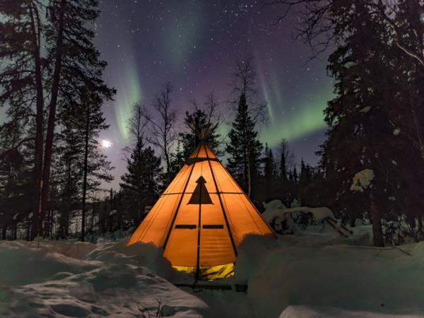 Northern Lights and wildlife vacation in Swedish Lapland