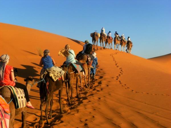 Morocco family vacation, camels & kasbahs